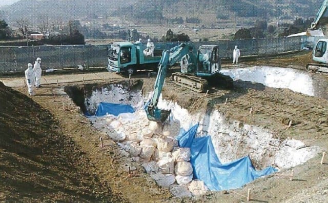 鳥インフルエンザ発生 埋却地掘削作業・埋却作業